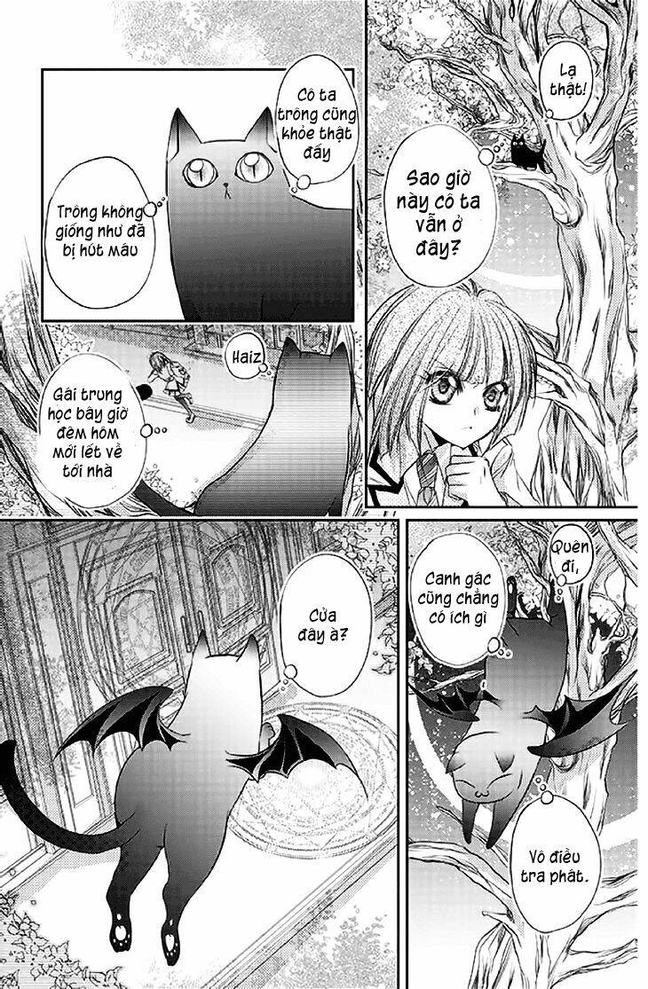 chữ thập nhuộm máu chapter 14 25