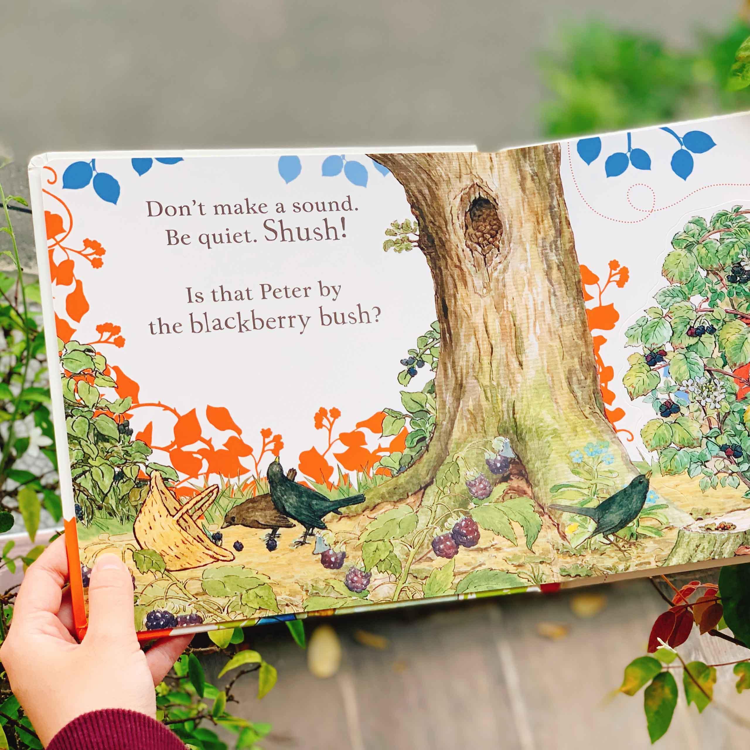 Where is Peter Rabbit? : Lift the Flap Book