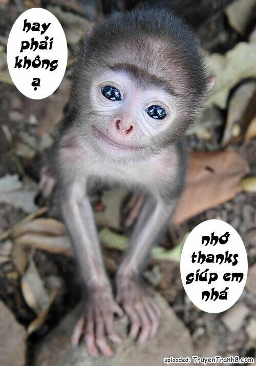 history's strongest disciple kenichi chapter 121 22