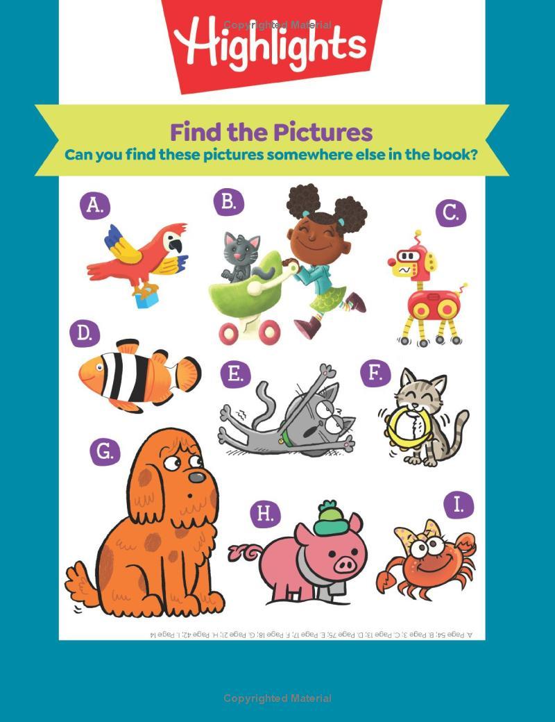 Pet Puzzles Deluxe (Highlights Hidden Pictures)