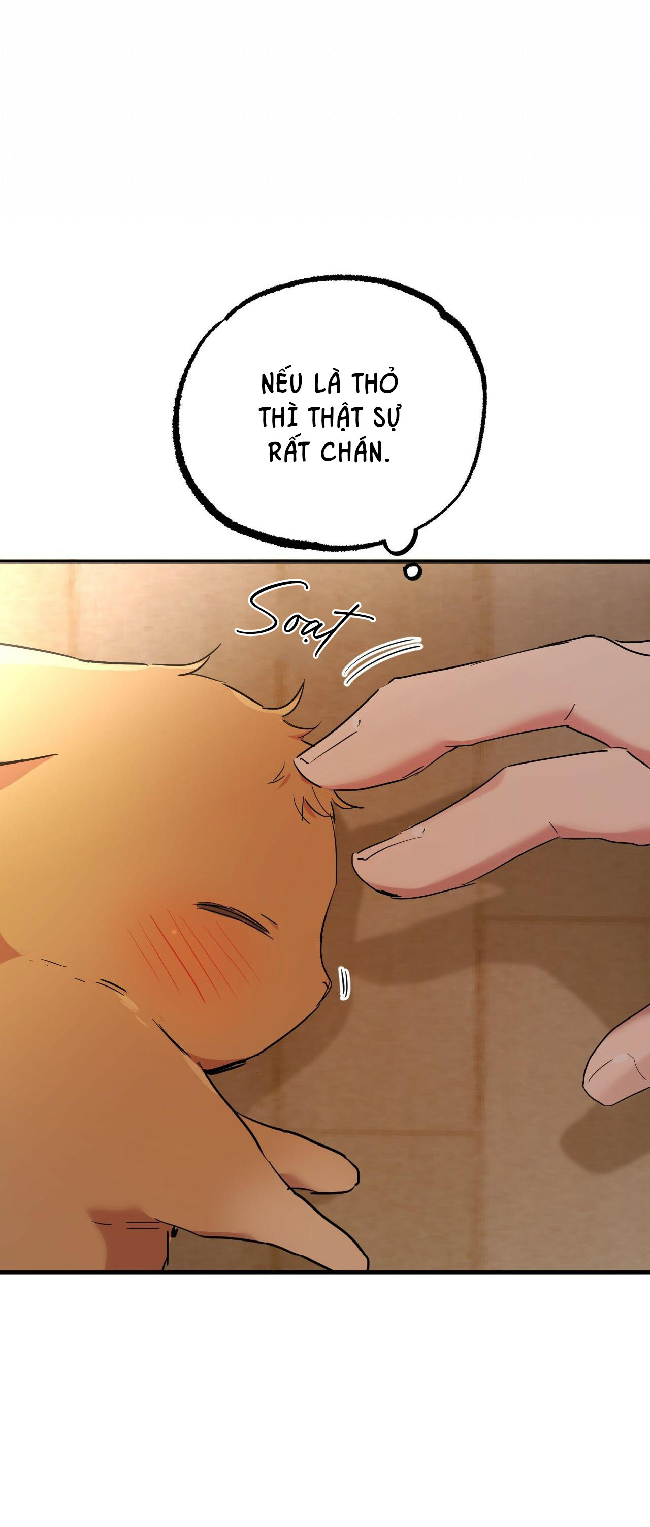 những chú thỏ của hapypy chapter 13 68