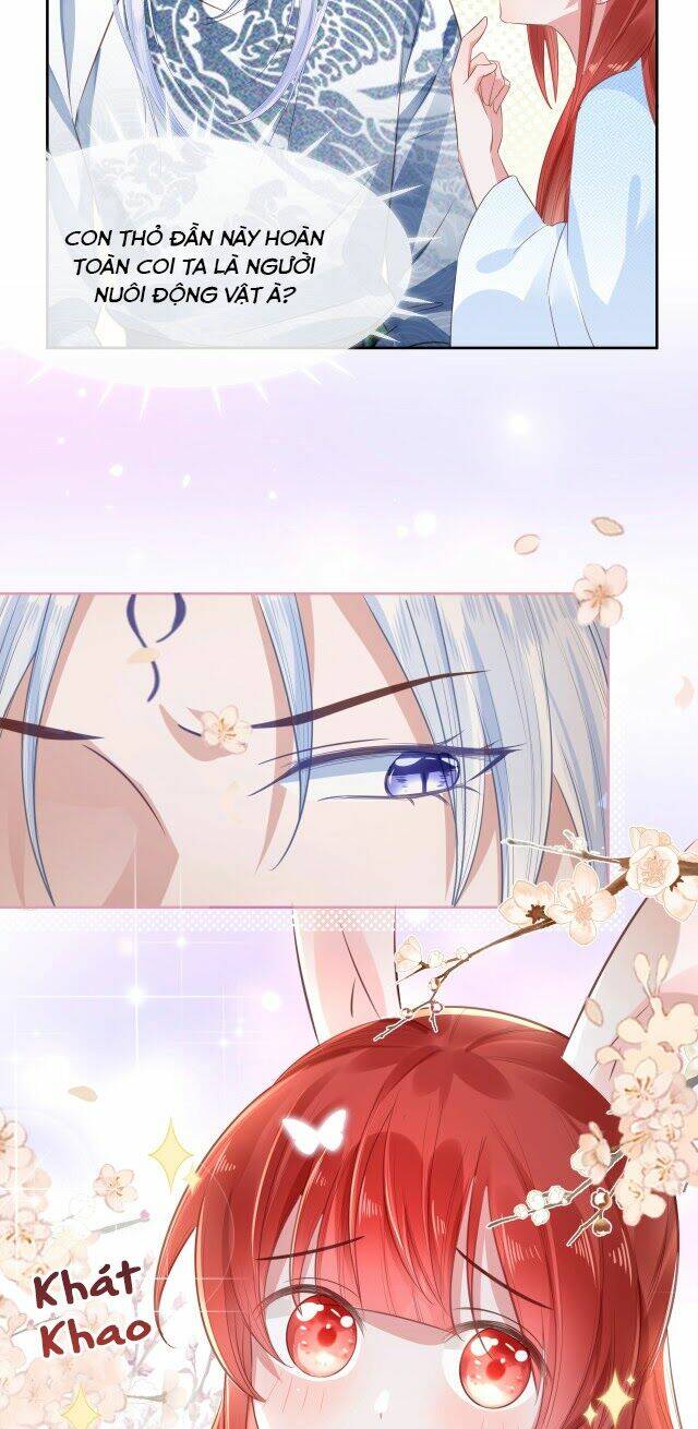 hắc hóa nam chính trực tuyến nuôi thỏ chapter 15 15