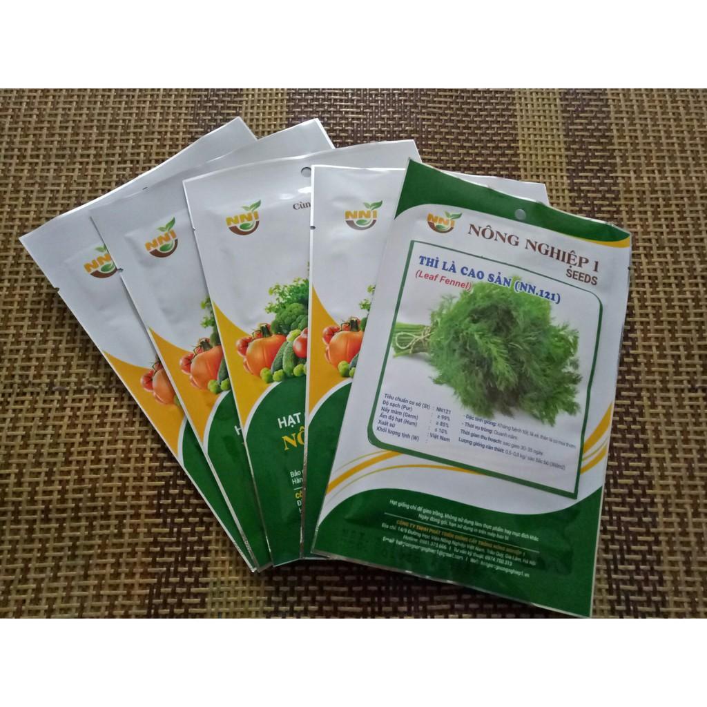 Hạt giống thì là cao sản gói 25gr
