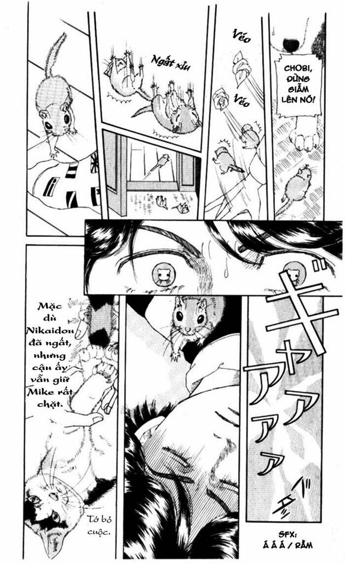 bác sĩ thú y chapter 4 15