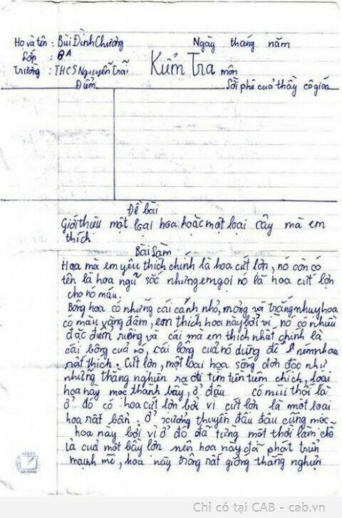 rage comic-troll chapter 48 26