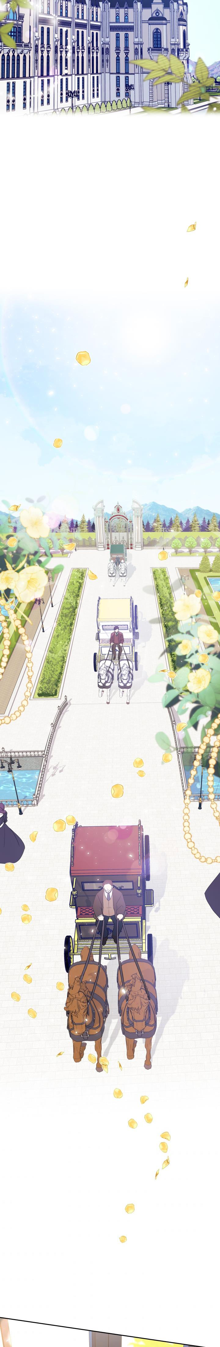 mối liên kết giữa báo đen và bé thỏ chapter 16 19