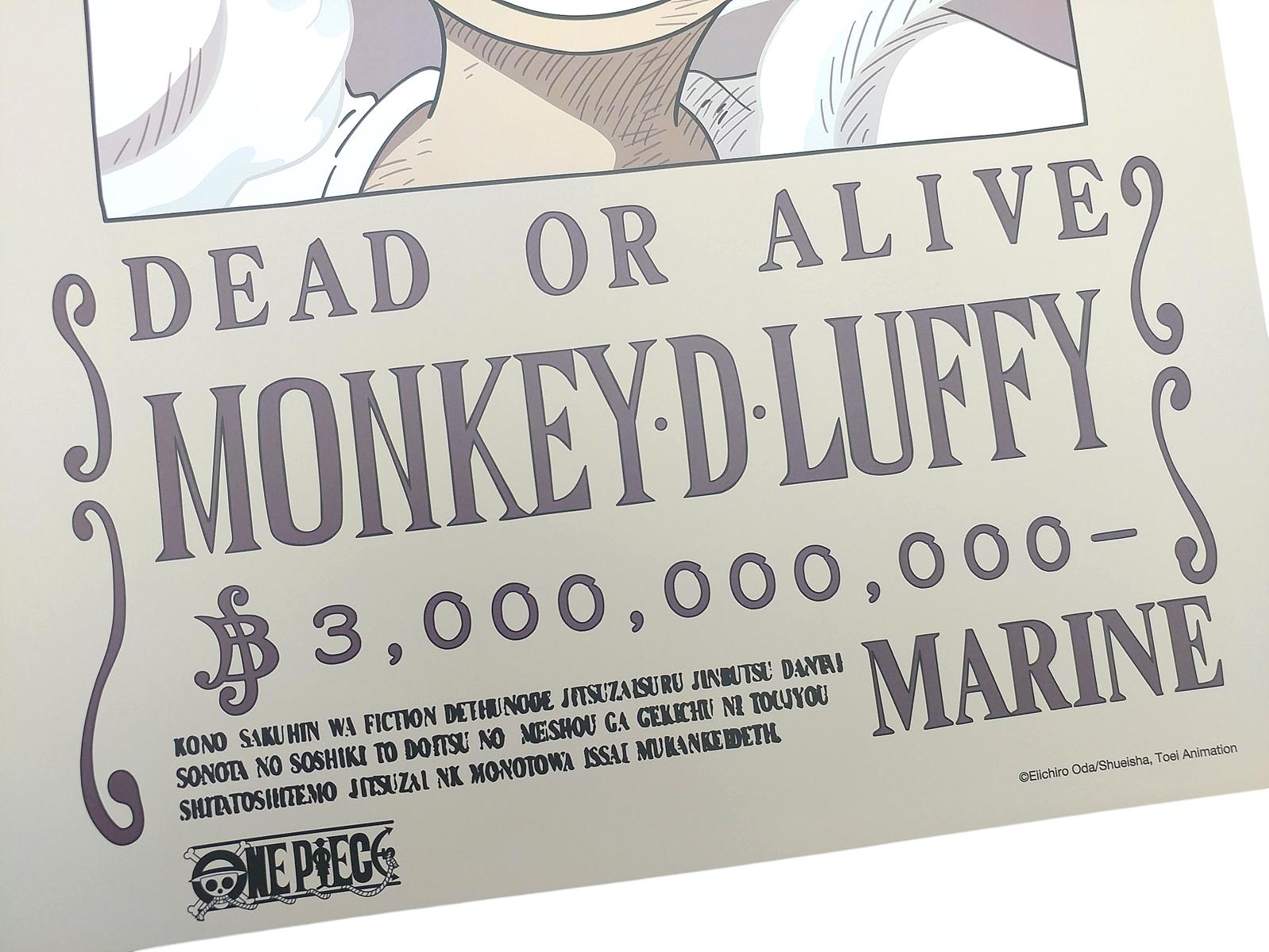 Poster One Piece V2 - Lệnh Truy Nã Luffy - TeenBox