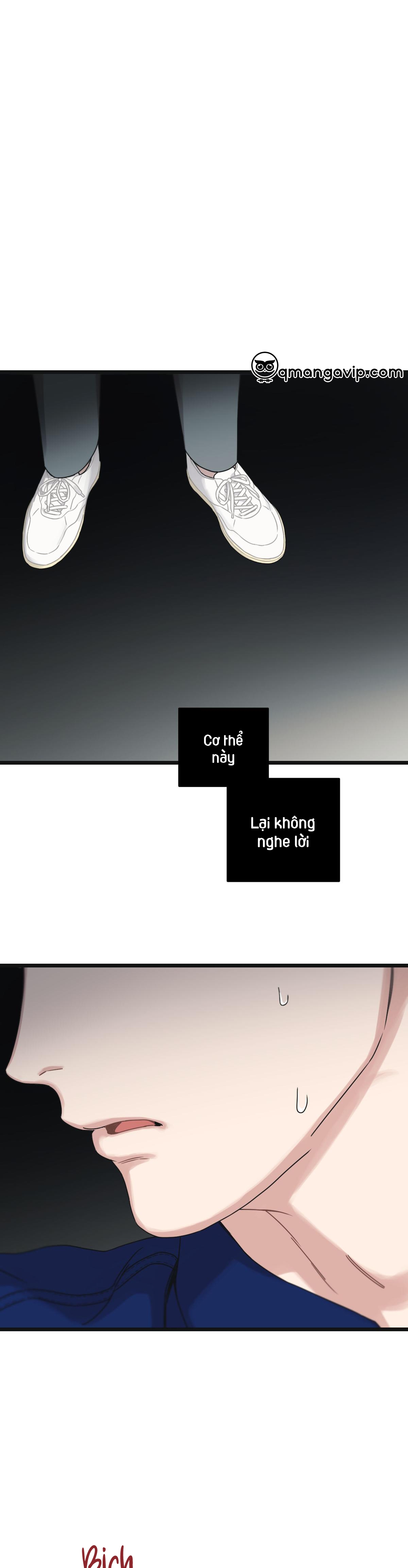 tương phùng chapter 34 41