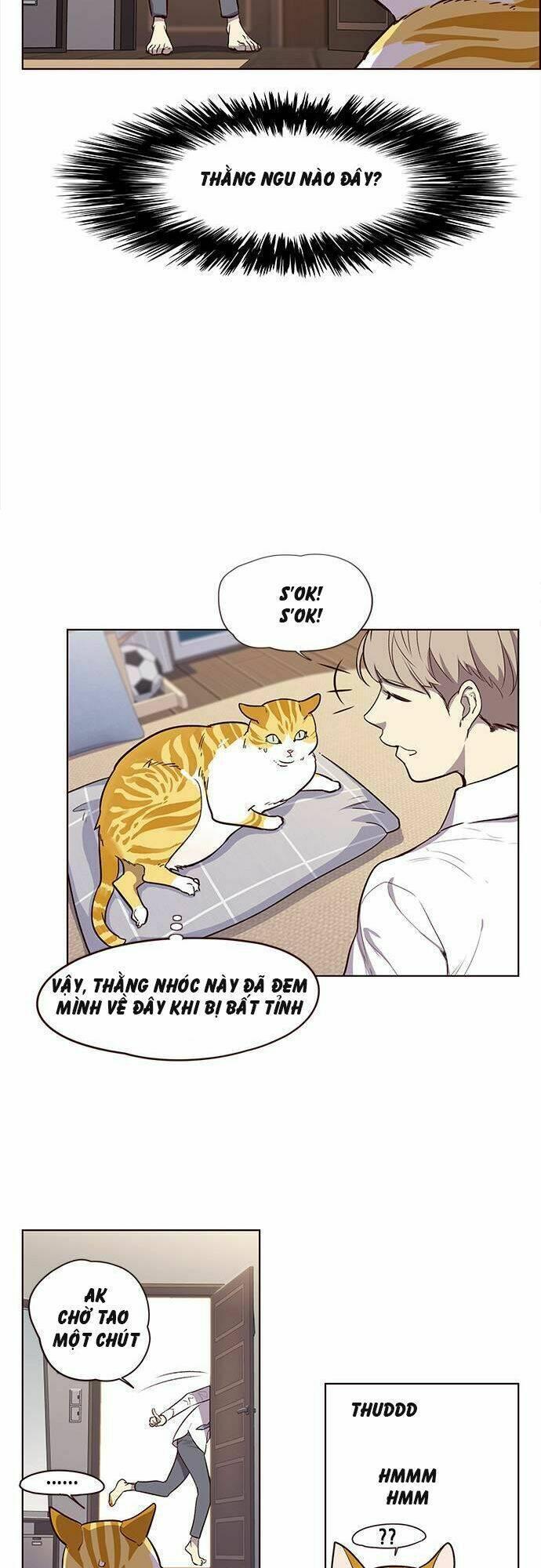 biến thân thành mèo chapter 1 30