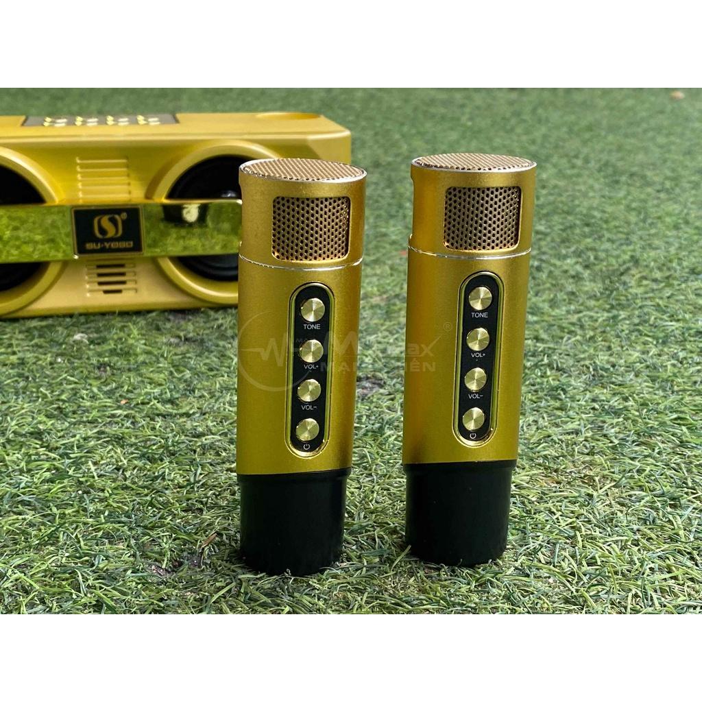 Loa Karaoke xách tay mini YS-205 kèm 2 Micro Không Dây âm thanh hay giá tốt