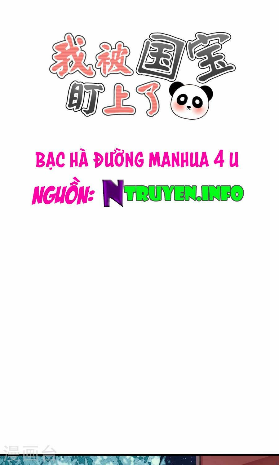 tôi bị gấu trúc nhìn trúng rồi chapter 11 1