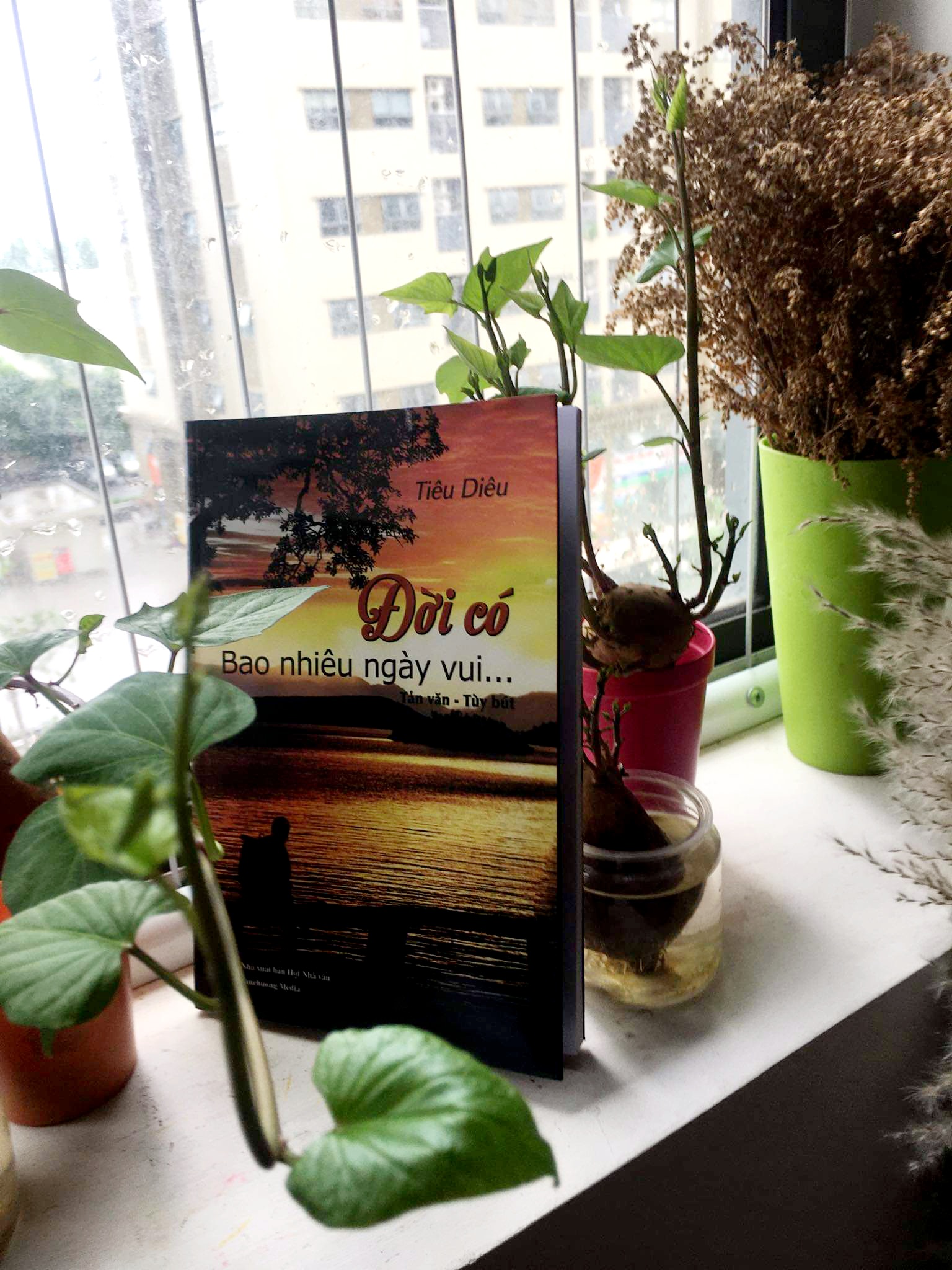 Đời có bao nhiêu ngày vui