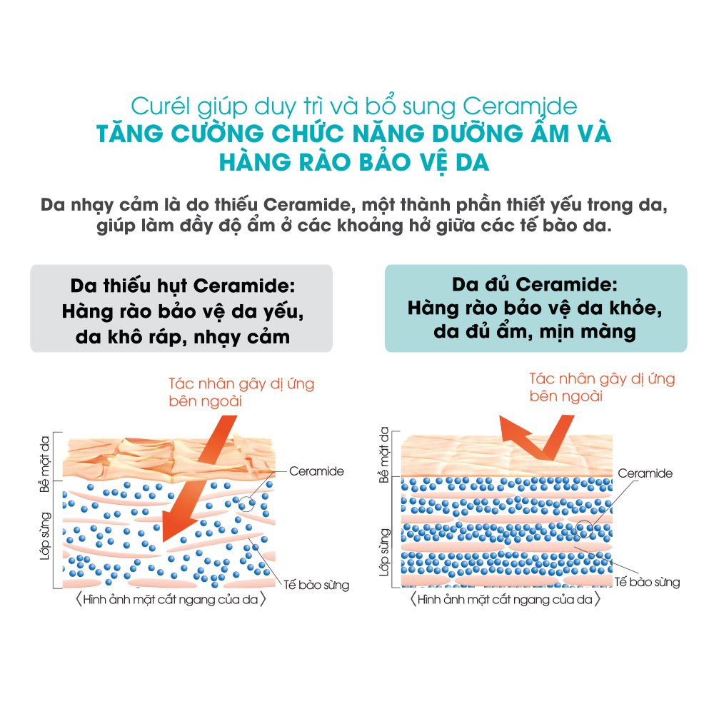 Bộ Chăm Sóc Da Cấp Ẩm Chuyên Sâu Curél Intensive Moisture Care Trial Kit Enrich