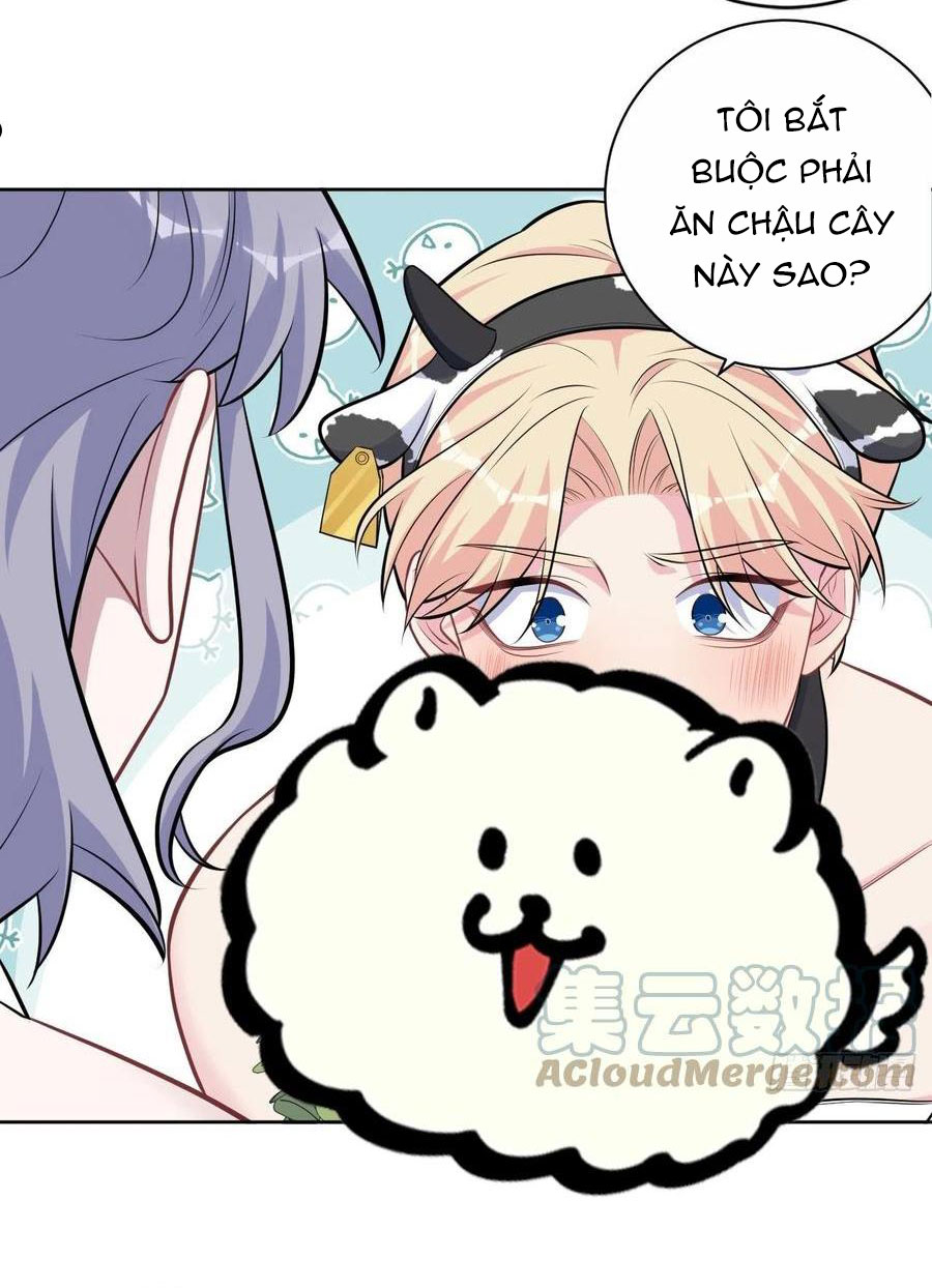 bố vợ đại nhân là bà xã chapter 213 5