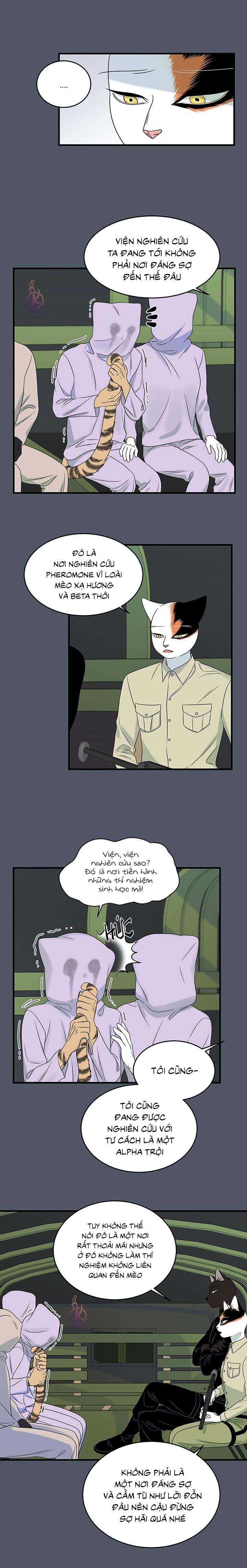 dự án xanh chapter 42 11