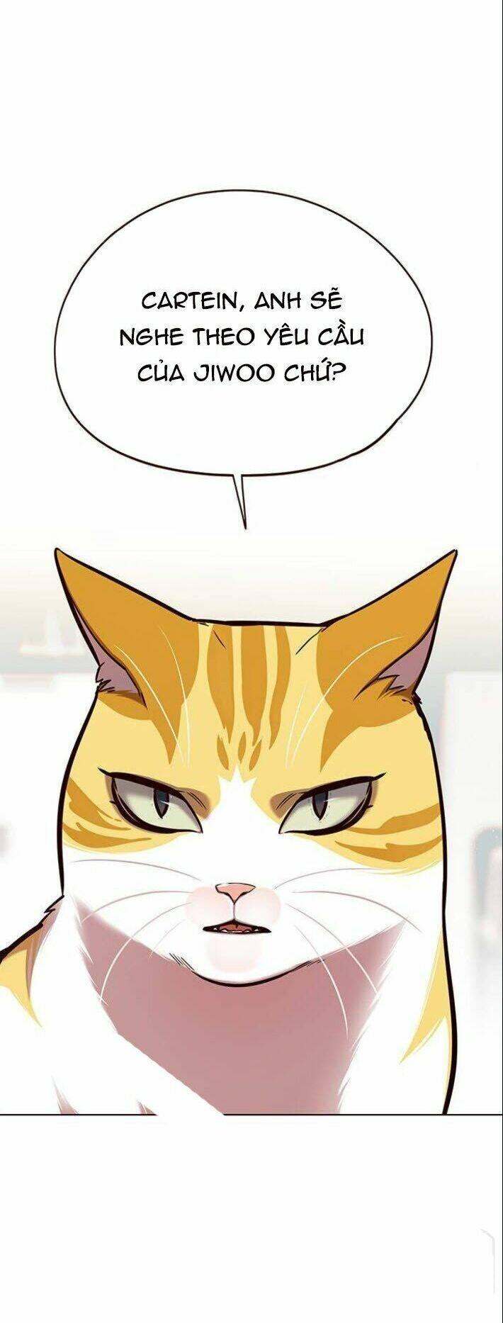biến thân thành mèo chapter 139 38