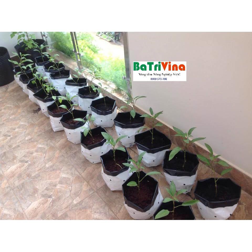 Túi trồng cây 40x40cm,Túi trồng dưa lưới,cây cảnh,cây ăn trái cở to