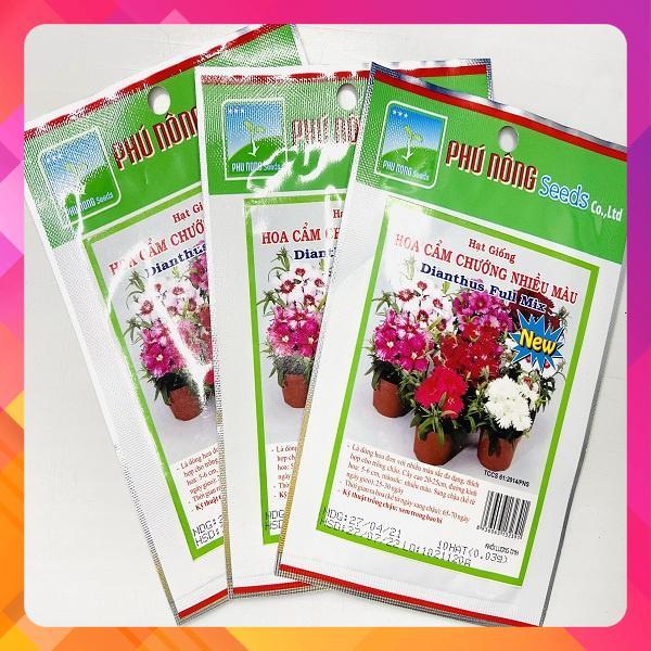 Hạt giống hoa cẩm chướng nhiều màu