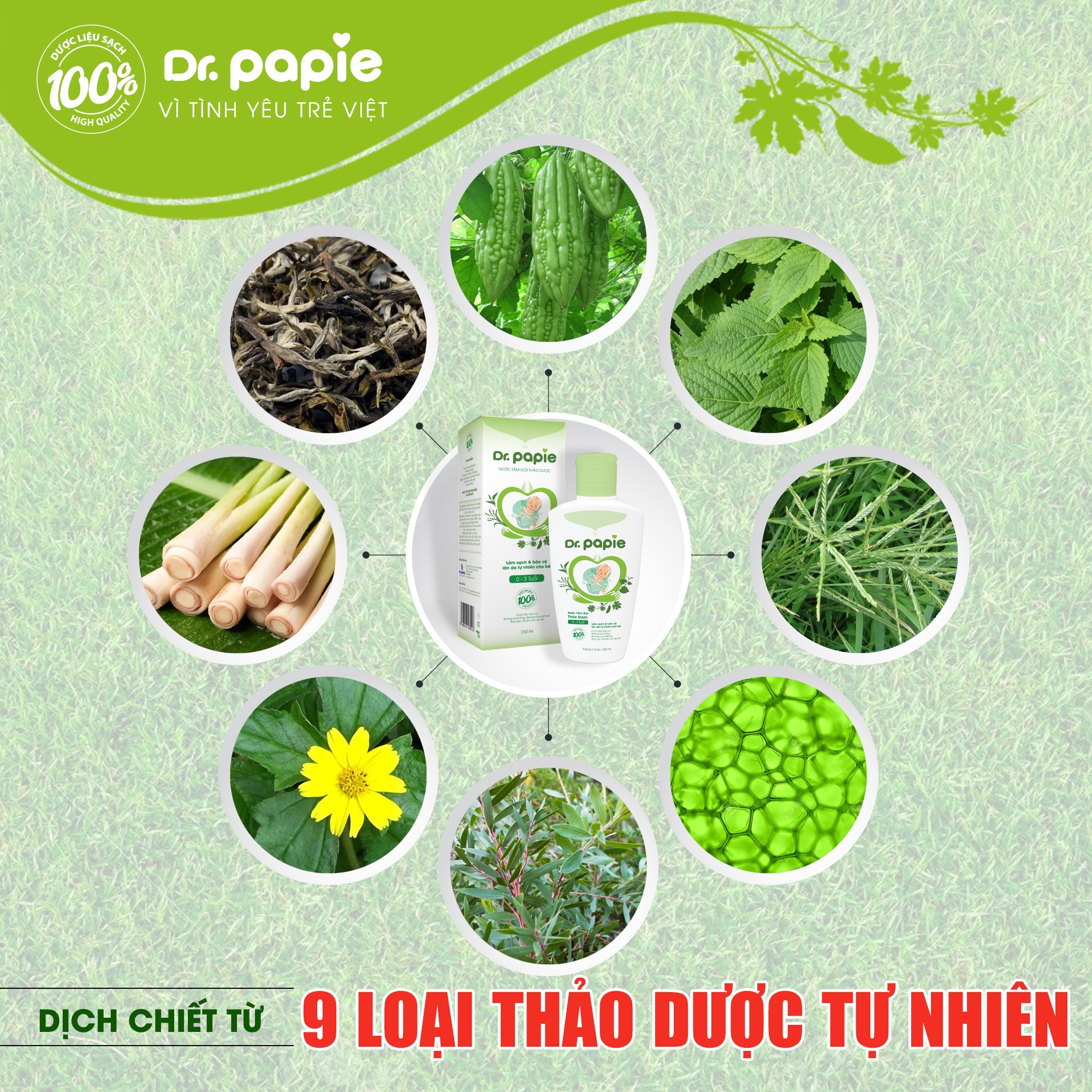 Nước tắm gội thảo dược Dr.PaPie (230ml)