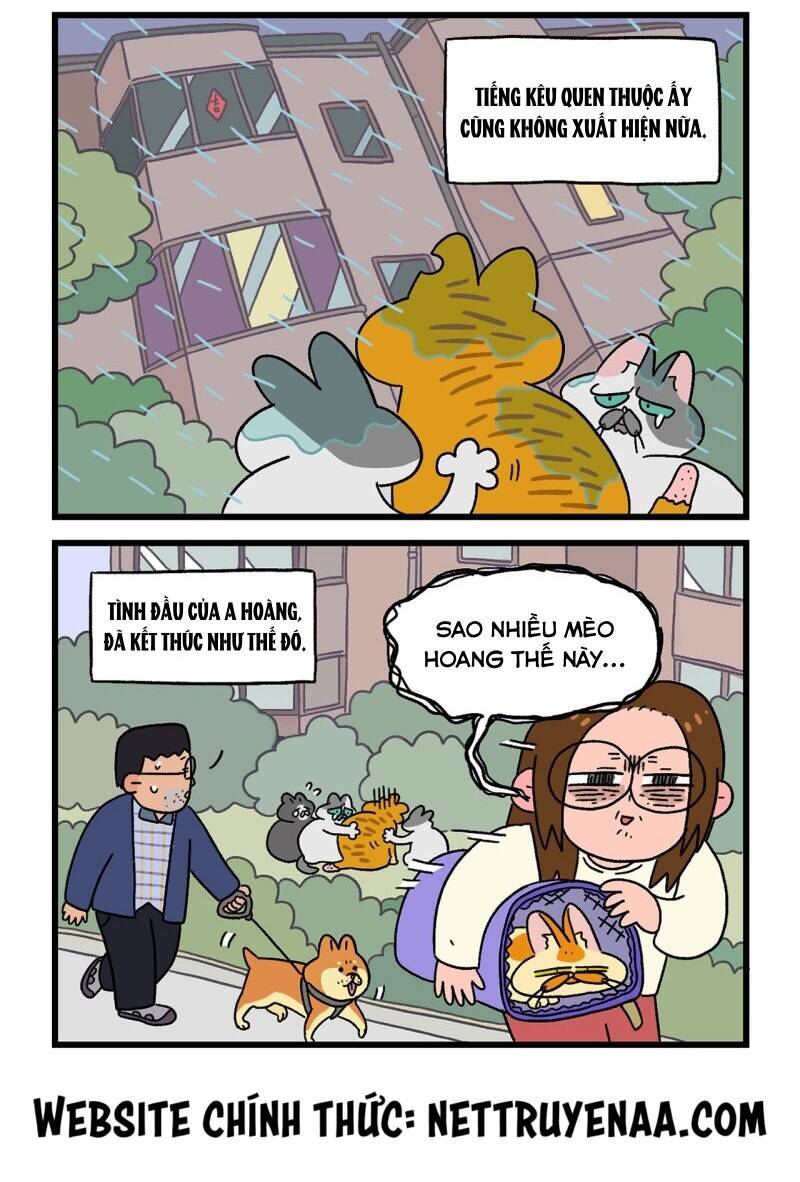 a mãn và mạch trà chapter 18 6