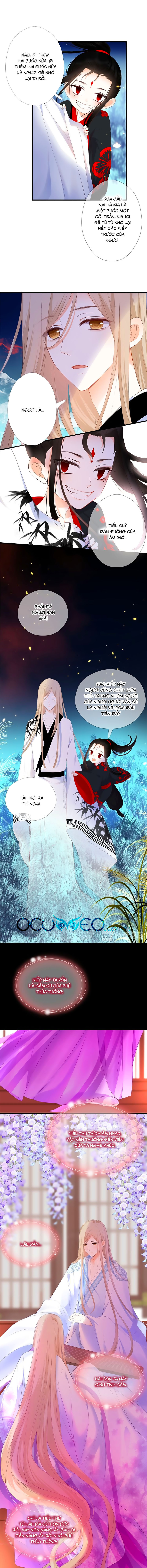 đóa hoa chớm nở chapter 60 4
