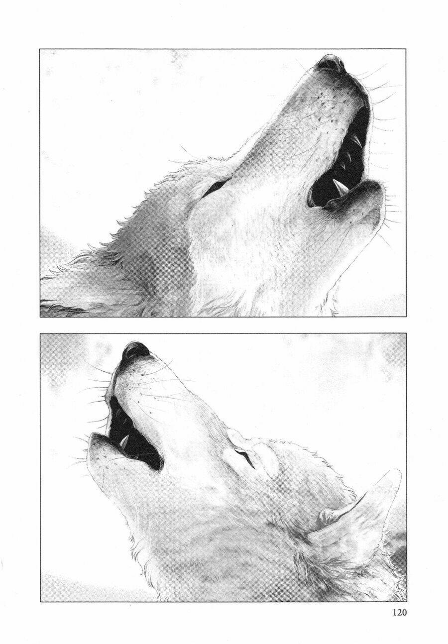 innocent rouge (innocent phần 2) chapter 76 3