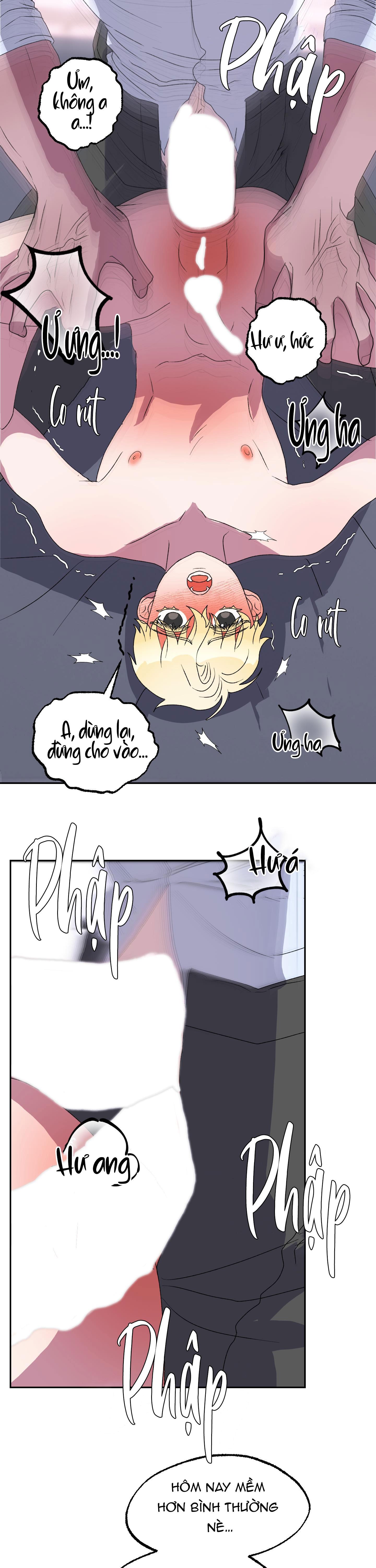 cá mập và cô dâu thỏ chapter 11 24