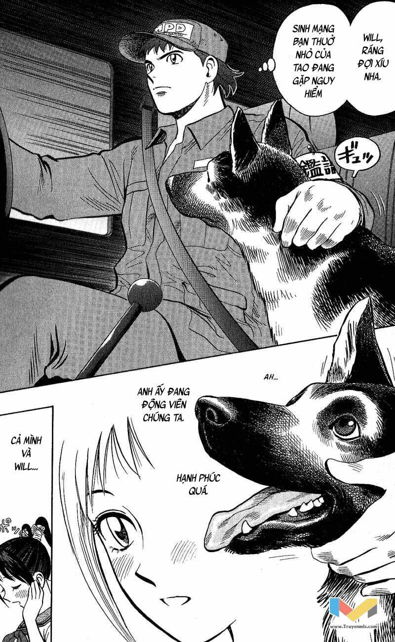 animal sense chapter 8 46
