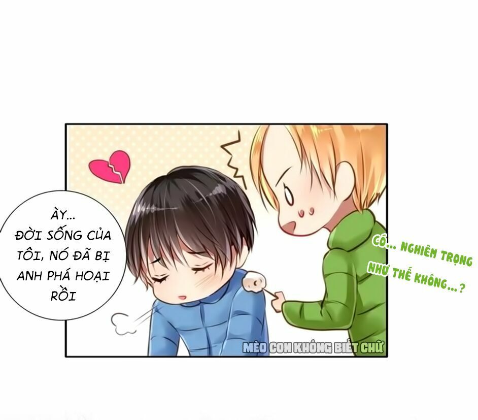 không có ssr làm sao để yêu chapter 19 14