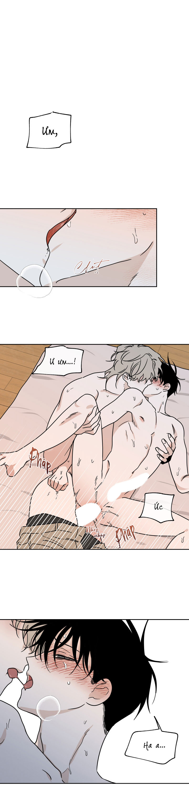 đêm bên bờ biển chapter 27 1