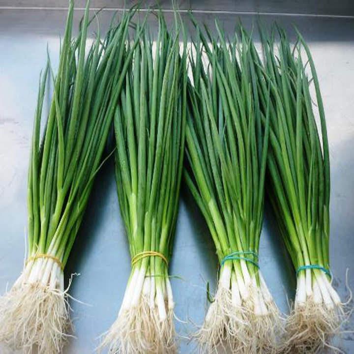 COMBO 3 loại Hạt giống rau gia vị CHỈ 20K