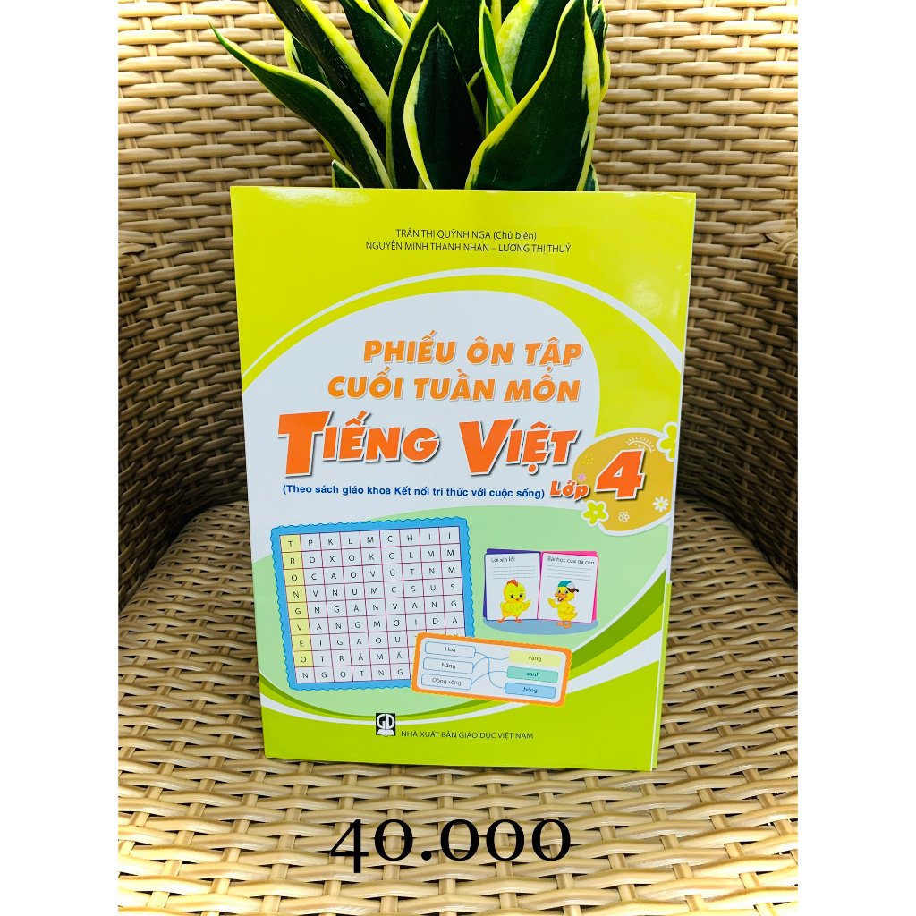 Sách - phiếu ôn tập cuối tuần môn tiếng việt 4