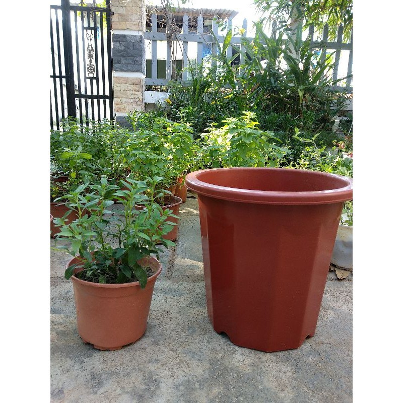 20 Chậu Nhựa Trồng Cây E280 KT 23x20cm