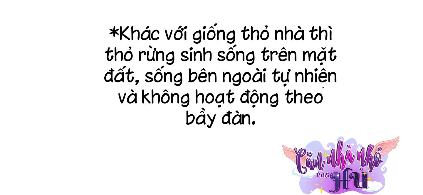 thỏ nhỏ xuất tinh trong 3 giây chapter 2 61