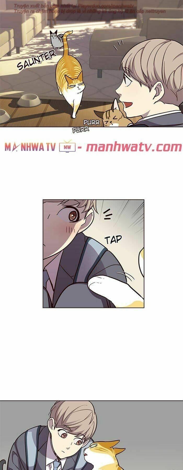 biến thân thành mèo chapter 38 15