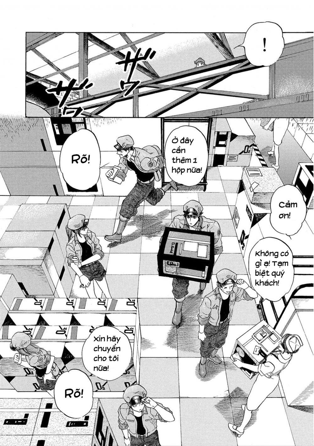hataraku saibou! chapter 7 12
