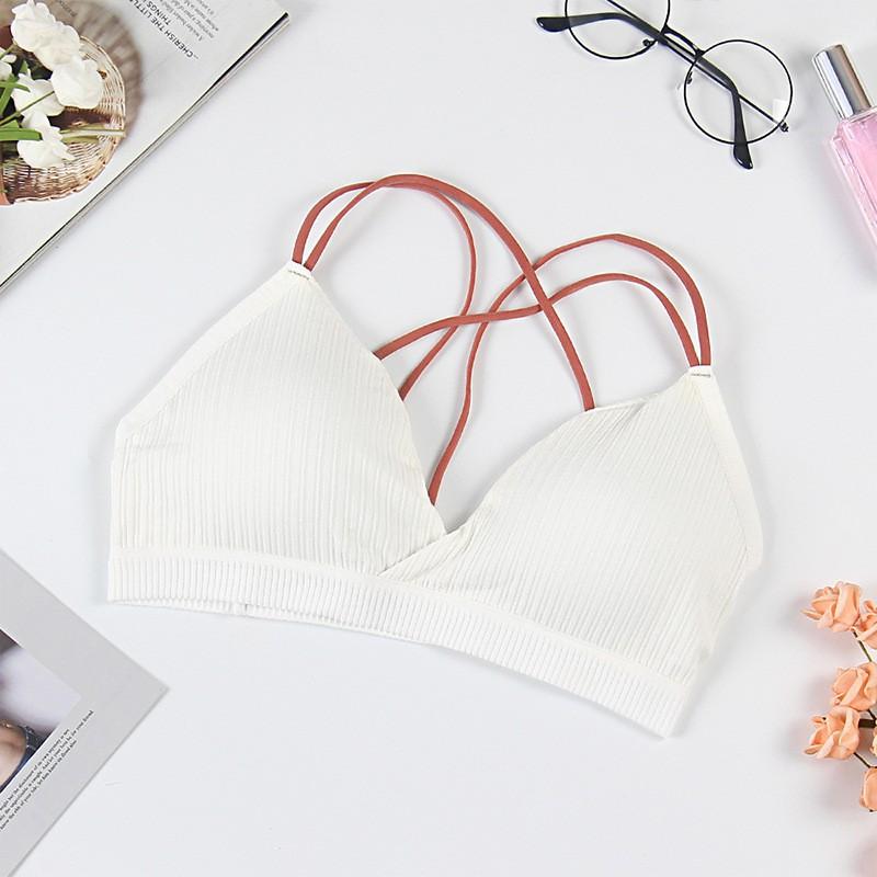 Áo Bra Cotton Dây Phối Màu Đệm Dày Gợi Cảm BR20