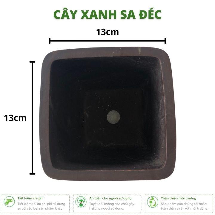 Chậu vuông mini CK21 hoa văn hoa cúc và cành trúc màu đen nhám kích thước 11 x 13 cm