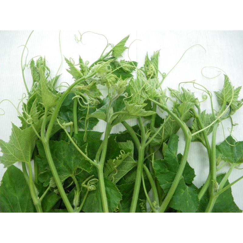 HẠT GIỐNG BÍ NGỌN cao sản