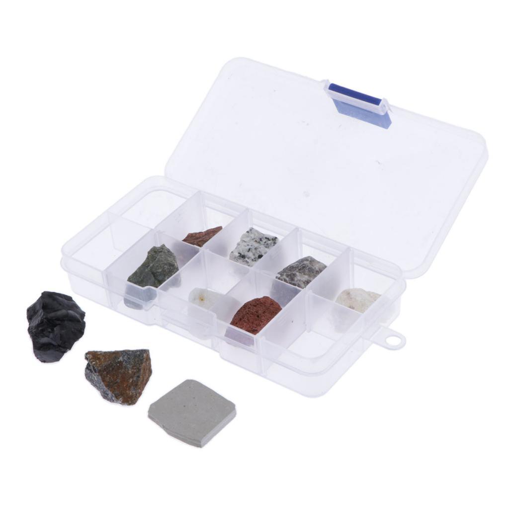 10 chiếc Đá Đá Khoáng Bộ Giáo Dục Địa Chất Học Mẫu Vật