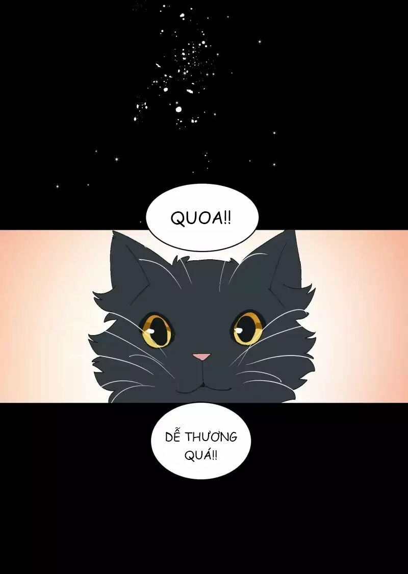 lumine - cội nguồn ánh sáng chapter 35 11