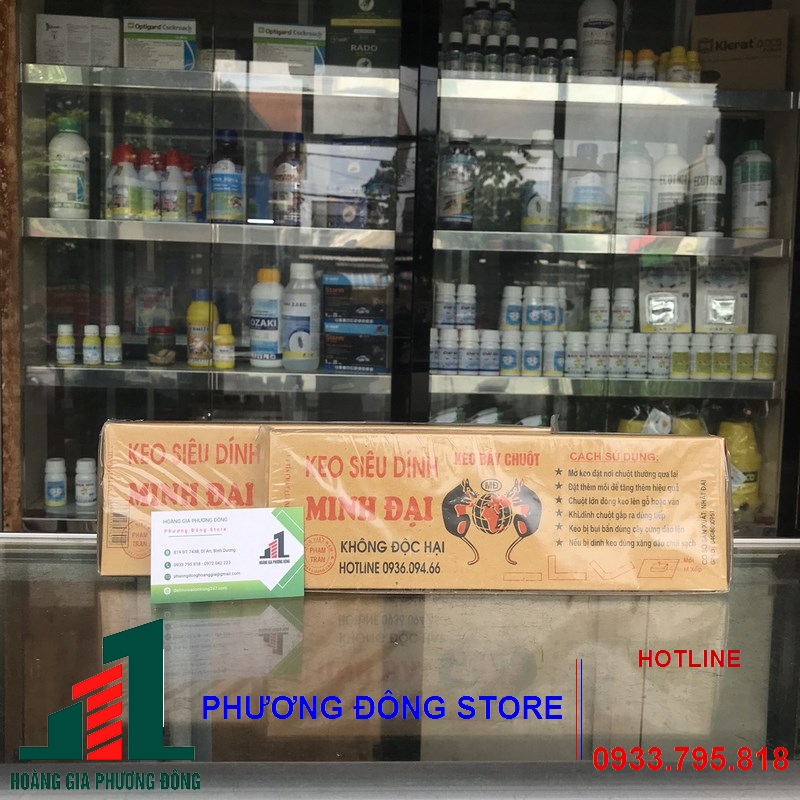 Keo dính chuột hộp giấy