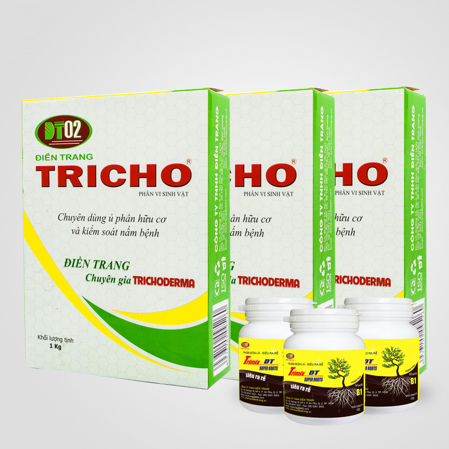 Combo 3 hộp Trichoderma Ngăn Ngừa Nấm Bệnh 1Kg + 3 hũ Phân Bón Lá TRIMIX-DT Siêu Ra Rễ 120g