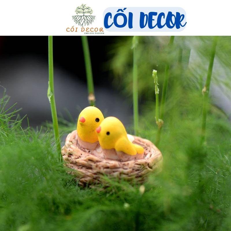 Tiểu cảnh mini ️H052 ️ Tổ chim mini trang trí tiểu cảnh, sen đá, terrarium