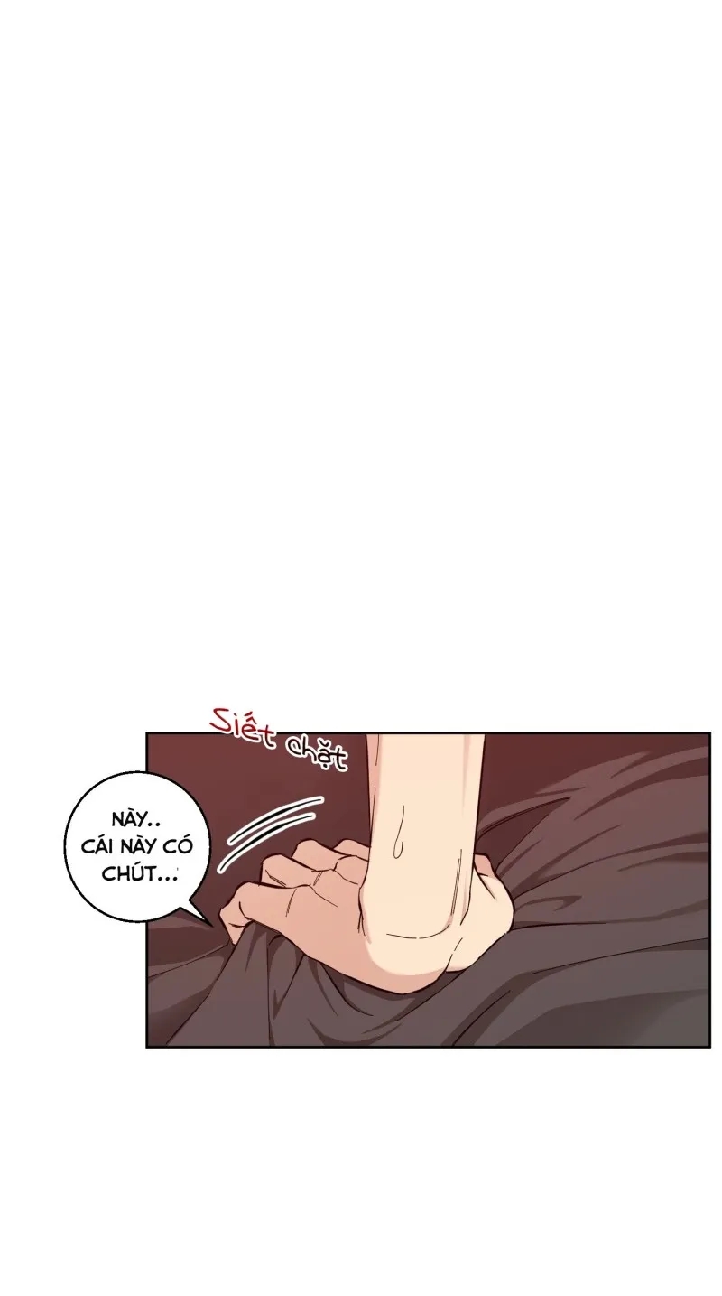 hãy bảo vệ tình yêu thuần khiết! chapter 11 14