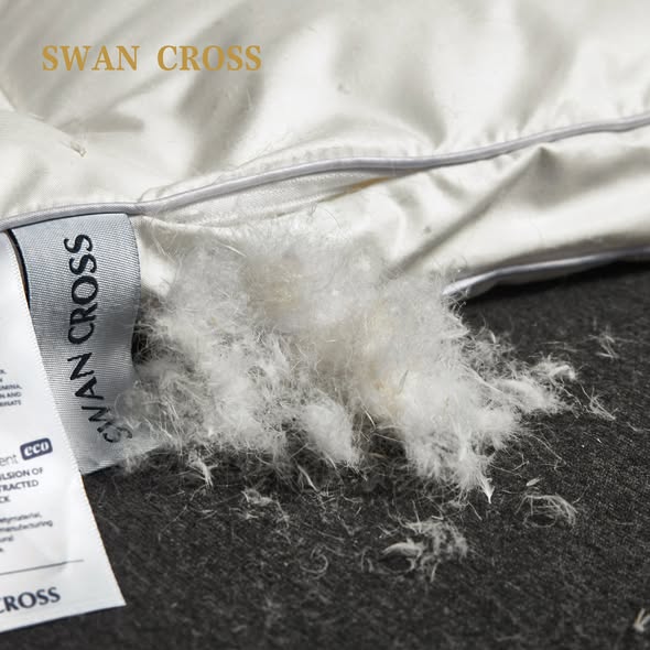 CHĂN LÔNG VŨ SWAN CROSS – ĐẲNG CẤP THƯƠNG GIA hàng chính hãng