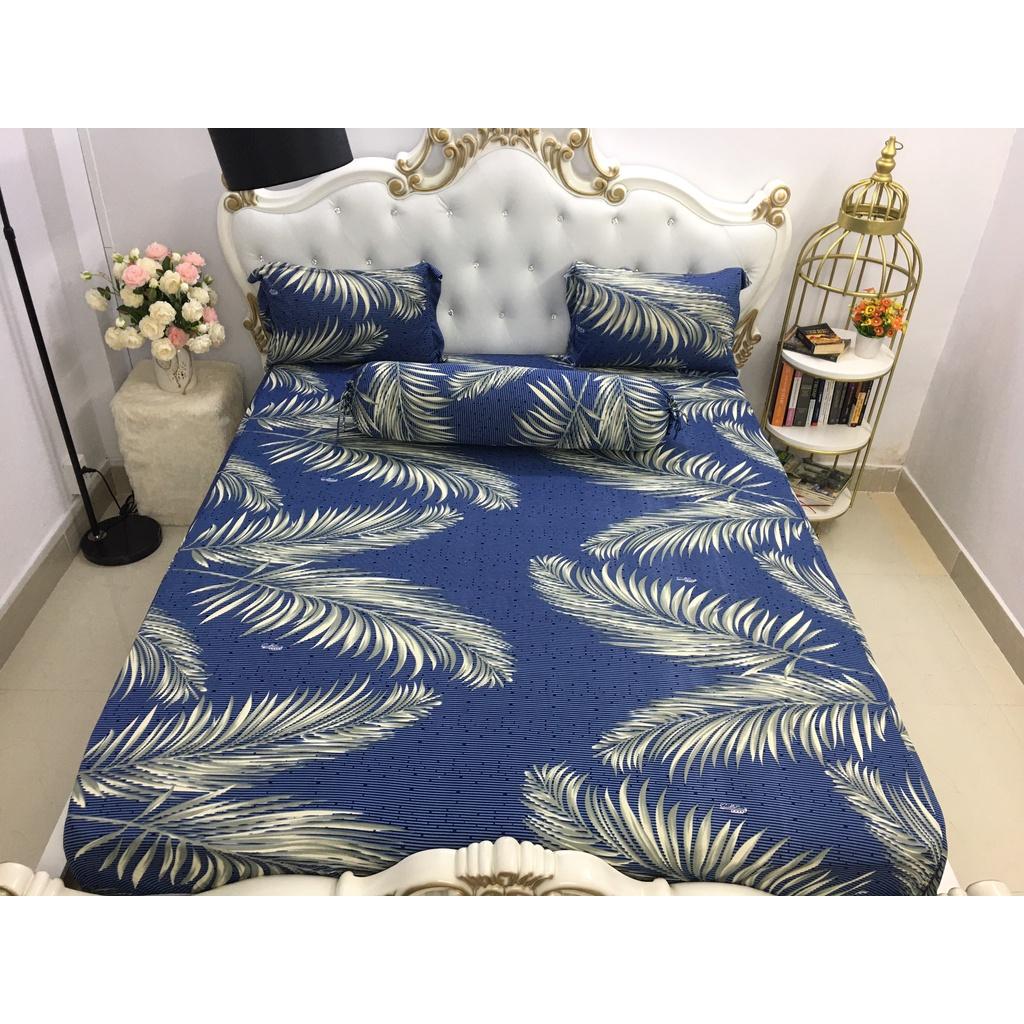 Bộ Drap Thun Lạnh Hàn Quốc inbox chọn màu