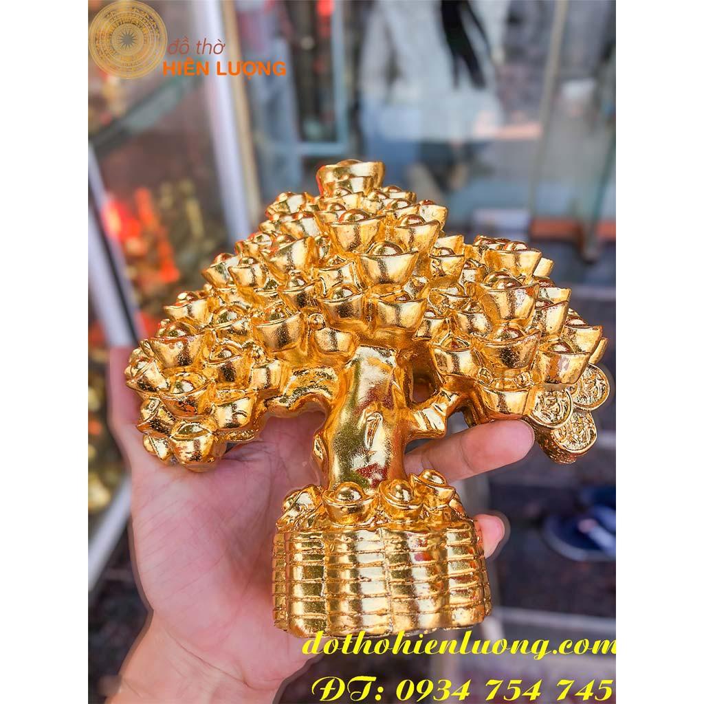 Cây Kim Tiền Mạ Vàng Cỡ To DxRxC 20x8x18cm