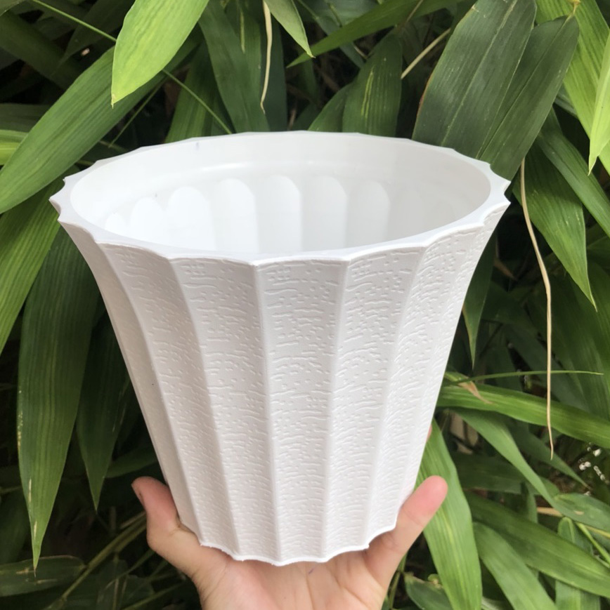 Bộ 6 chậu khía nhựa màu trắng size 18x15x12cm