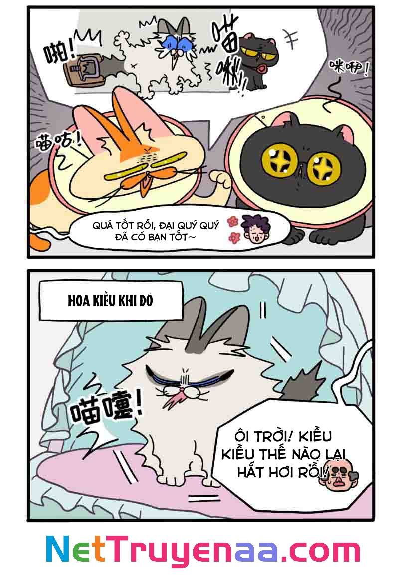 a mãn và mạch trà chapter 22.1 3